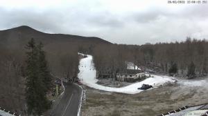 Pomeriggio - 2026-02-20