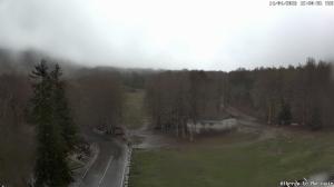 Pomeriggio - 2026-04-14