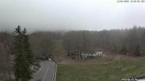 Pomeriggio - 2026-04-15