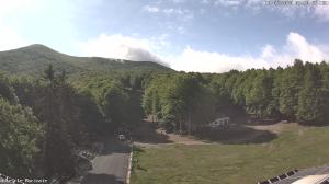 Morning - 2025-05-19