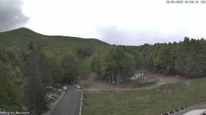 Morning - 2025-05-20