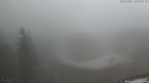 Pomeriggio - 2026-01-23