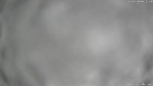 Mattina - 2026-01-25