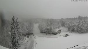 Mattina - 2026-01-26