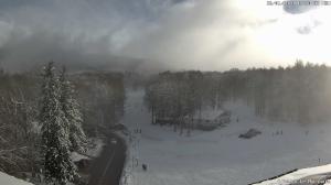 Pomeriggio - 2026-01-26