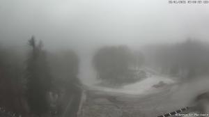 Mattina - 2026-01-28