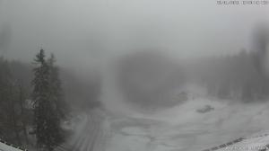 Pomeriggio - 2026-01-28