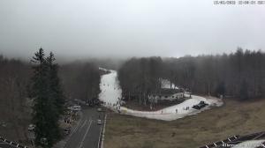 Pomeriggio - 2026-02-15