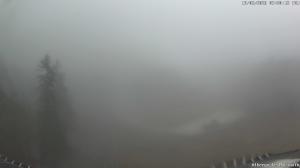 Mattina - 2026-02-19