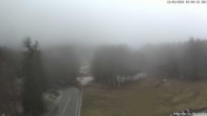 Mattina - 2026-03-15