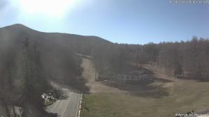 Mattina - 2026-04-11