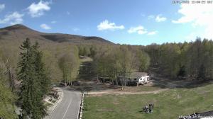 Pomeriggio - 2026-04-18