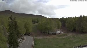 Pomeriggio - 2026-04-22