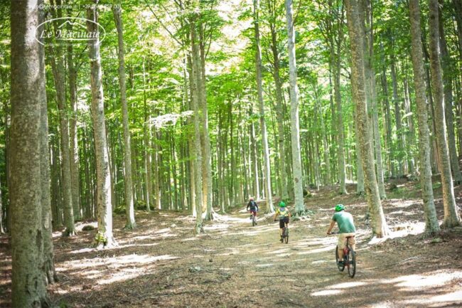 bicicletta amiata tour