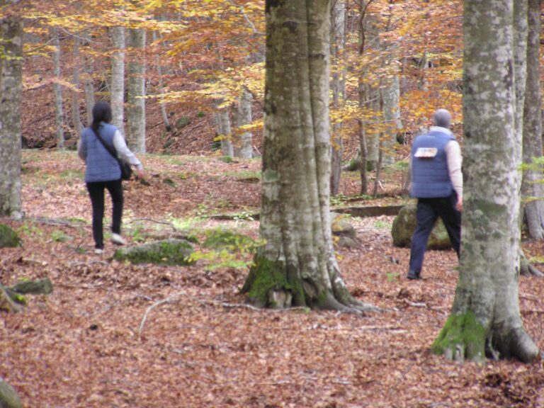 Lezioni di Orienteering sul Monte Amiata