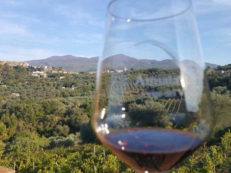 Un calice di vino tra i Vigneti