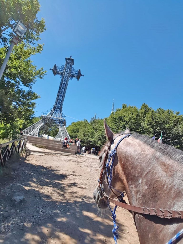 A cavallo sul Monte Amiata