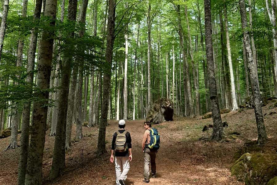 Escursioni di Trekking