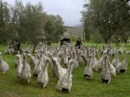 Giardino di Daniel Spoerri - Seggiano (GR)