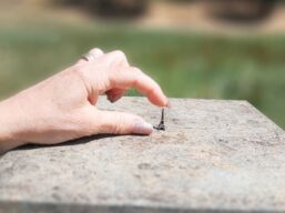 Giardino di Daniel Spoerri - Seggiano (GR) - Fai qualcosa grande come la Tour Eiffel