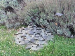 Giardino di Daniel Spoerri - Seggiano (GR) - Ingresso vietato senza pantofole