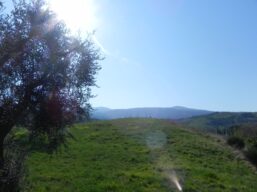 Giardino di Daniel Spoerri - Seggiano (GR) - I Pianeti