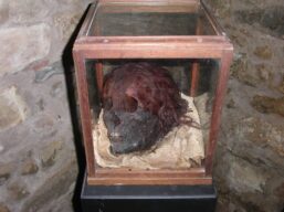 Giardino di Daniel Spoerri - Seggiano (GR) - Cranio della Cappella dei crani