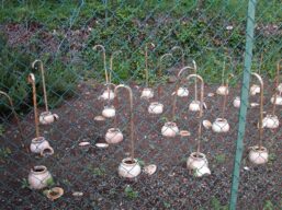 Giardino di Daniel Spoerri - Seggiano (GR) - Vasi e Bastoni