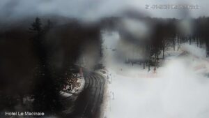 Bollettino del 31 gennaio 2026 ore 08:20