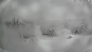 Bollettino del 26 gennaio 2026 ore 08:01