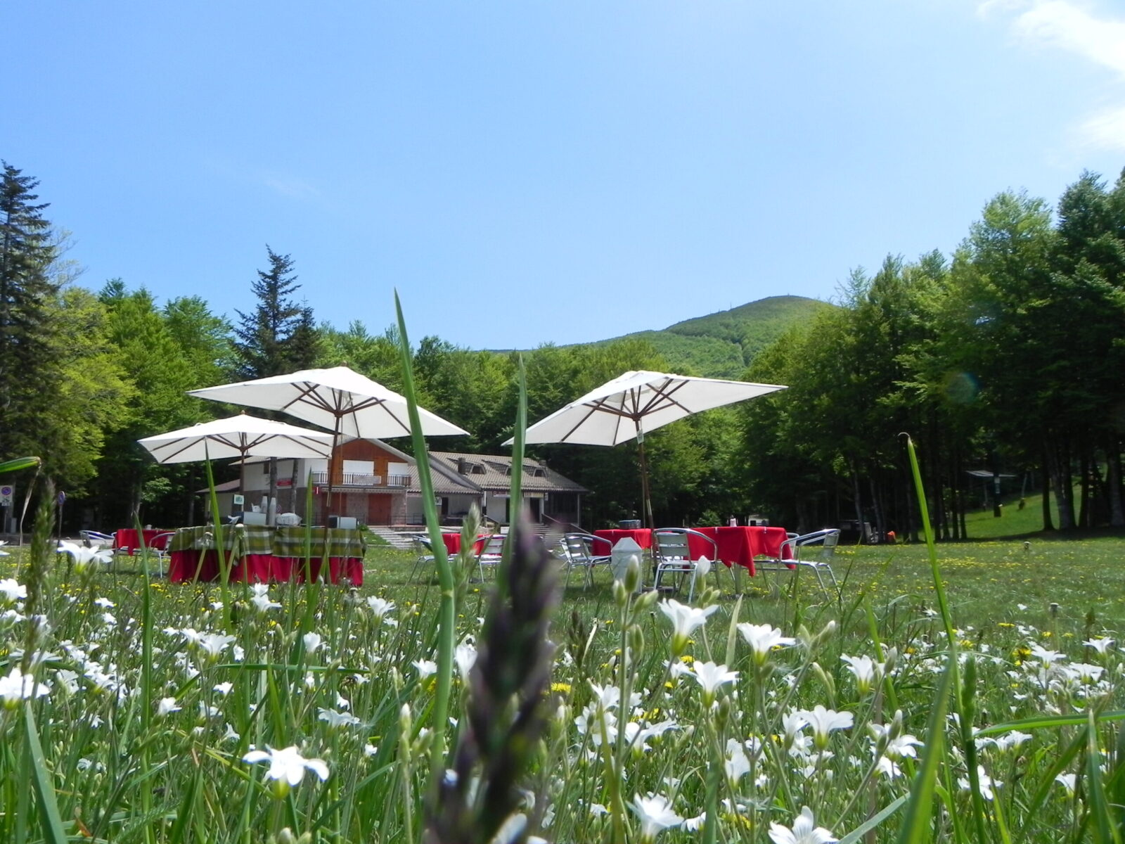 Macinaie experience, eventi alle Macinaie, Monte Amiata, Toscana