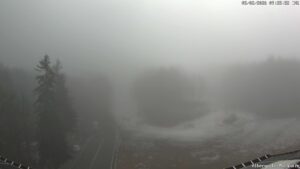 Bollettino del 05 febbraio 2026 ore 09:28