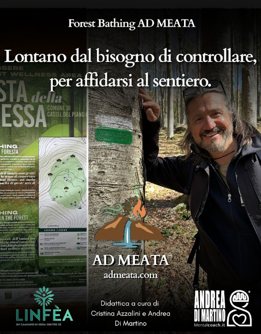 Un'esperienza immersiva di Forest Bathing sul Monte Amiata, dove la natura diventa maestra di equilibrio e presenza. Due giorni guidati da professionisti certificati per rallentare, respirare e riconnettersi con sé stessi nel cuore del castagneto del Prato delle Contessa. Un invito a tornare alle sorgenti - di sé, della natura, delle relazioni.